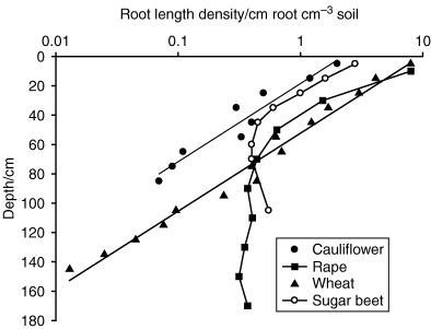 root length density
